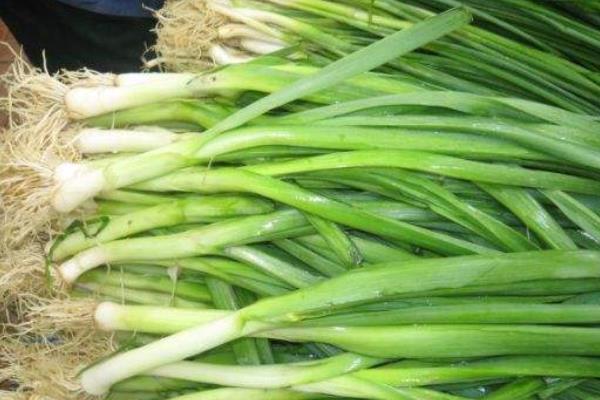 蒜苗功效與作用及禁忌 蒜苗營養價值