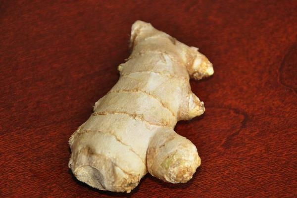 生姜的種類有哪些 生姜品種大全