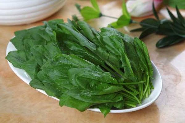 涼拌菠菜做法大全 怎么做涼拌菠菜好吃