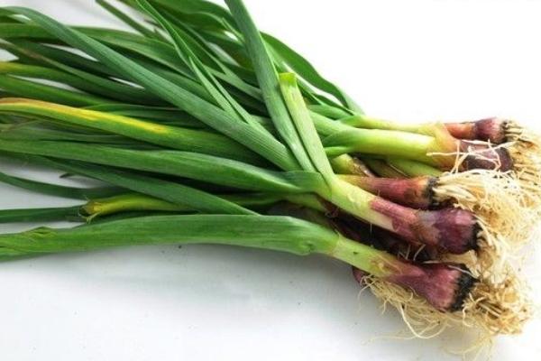 蒜苗什么時候種 蒜苗是什么季節(jié)的蔬菜