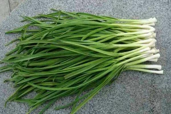 蒜苗什么時候種 蒜苗是什么季節(jié)的蔬菜