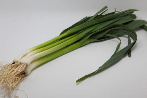 蒜苗什么時候種 蒜苗是什么季節(jié)的蔬菜