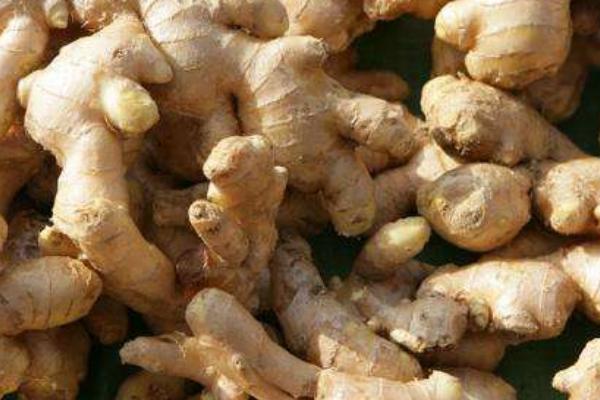 生姜汁怎么做 生姜汁做法及步驟