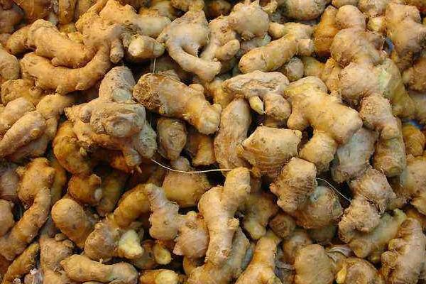 生姜汁怎么做 生姜汁做法及步驟