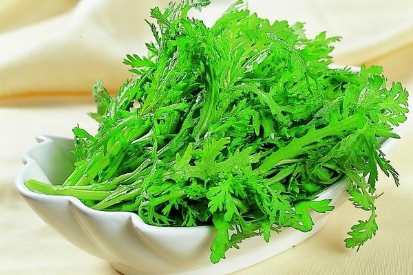 茼蒿的葉子能吃嗎