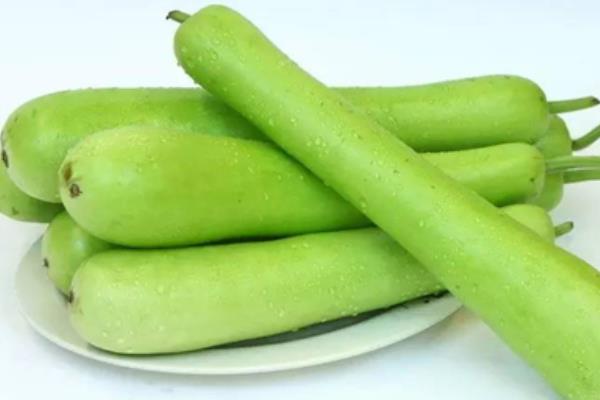 瓠子餃子的做法