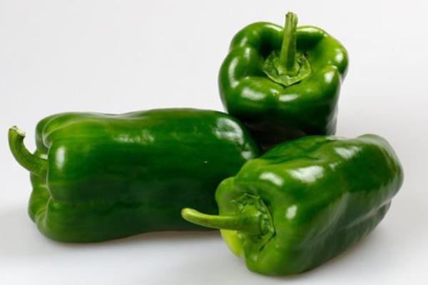 青椒的品種有哪些