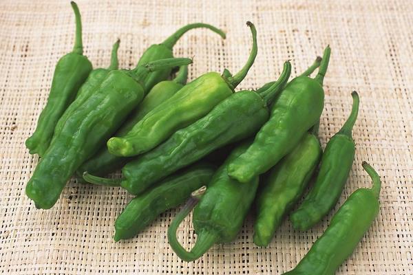 青椒土豆絲的做法大全