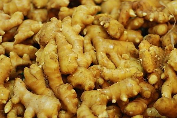 生姜圖片大全 生姜簡介