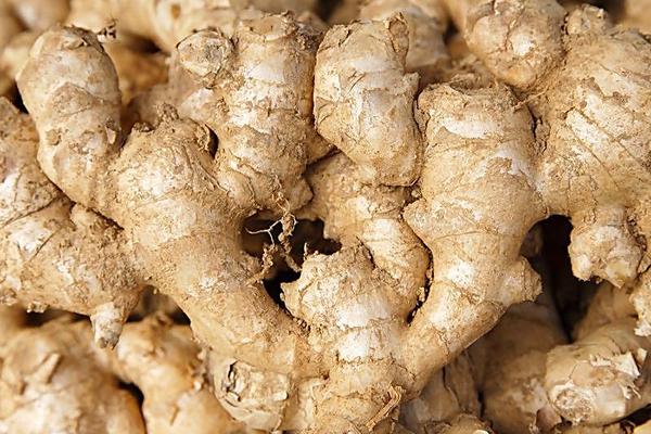 生姜圖片大全 生姜簡介