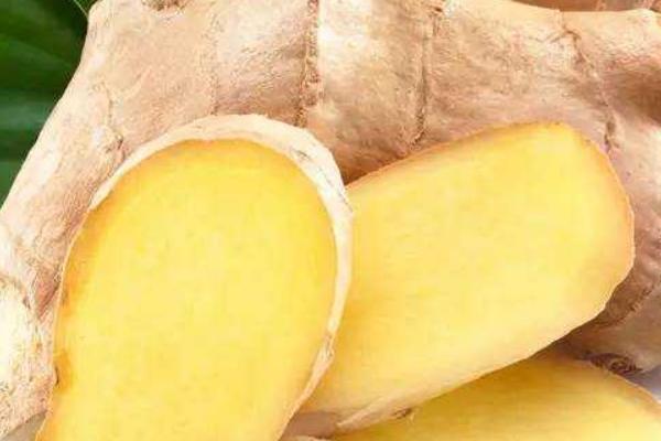 生姜圖片大全 生姜簡介