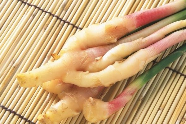 生姜發芽能吃嗎 生姜食用禁忌