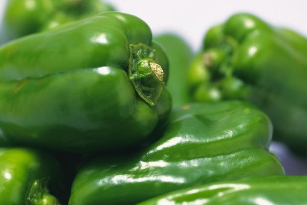 蒜苗回鍋肉的做法大全 家常蒜苗回鍋肉怎么做