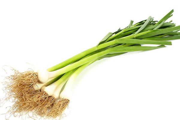 蒜苗回鍋肉的做法大全 家常蒜苗回鍋肉怎么做