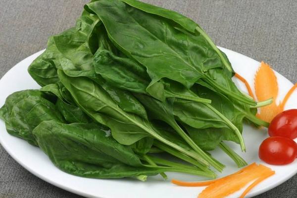 菠菜過敏的癥狀 吃菠菜過敏怎么辦