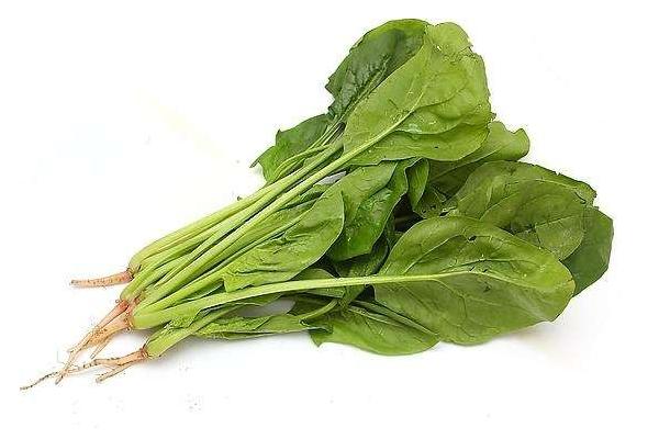 菠菜過敏的癥狀 吃菠菜過敏怎么辦