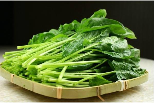 菠菜過敏的癥狀 吃菠菜過敏怎么辦