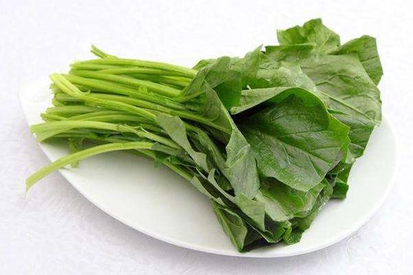 菠菜市場價格多少錢一斤