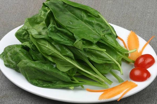 菠菜市場價格多少錢一斤