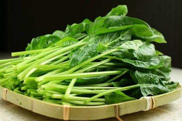 菠菜市場價格多少錢一斤