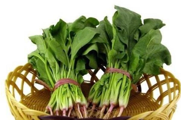 菠菜市場價格多少錢一斤