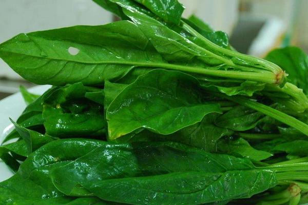 菠菜湯的做法大全 家常菠菜雞蛋湯怎么做