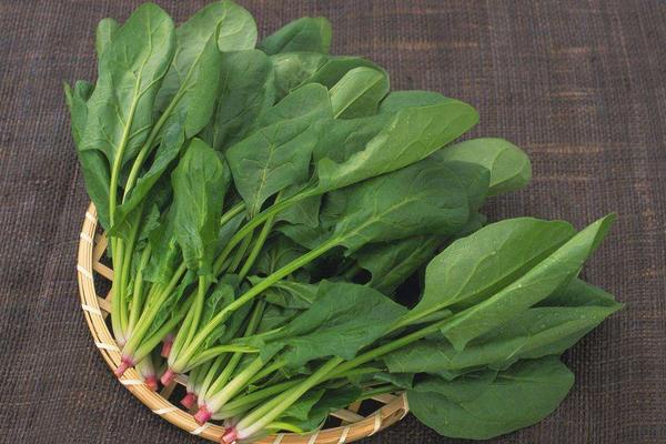 菠菜湯的做法大全 家常菠菜雞蛋湯怎么做