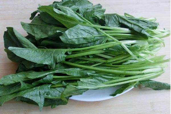 菠菜餃子餡做法大全 菠菜餃子怎么做