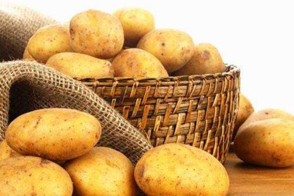 土豆的功效與作用及禁忌 土豆營養價值