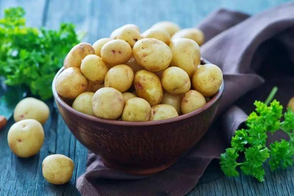 土豆市場價(jià)格多少錢一斤