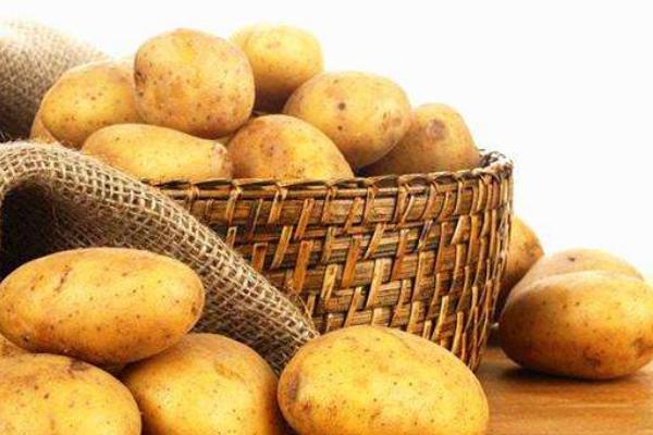 土豆市場(chǎng)價(jià)格多少錢(qián)一斤