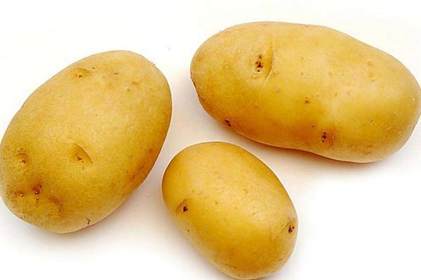 土豆市場(chǎng)價(jià)格多少錢(qián)一斤