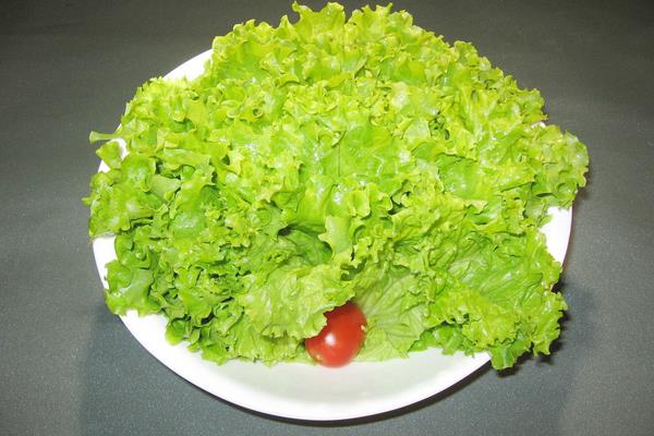 生菜怎么吃 生菜怎么做最有營養