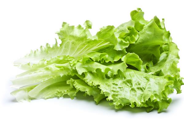 生菜怎么吃 生菜怎么做最有營養