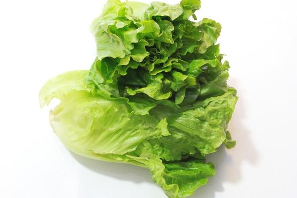 孕婦能吃生菜嗎 吃生菜有什么好處