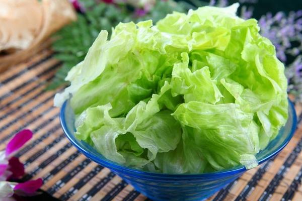 球生菜和生菜的區別是什么