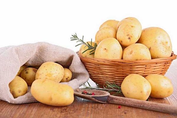 土豆加工項目及設備有哪些