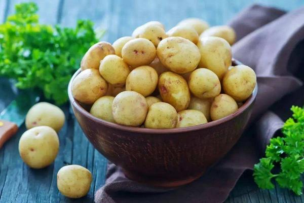 土豆圖片大全 土豆簡介