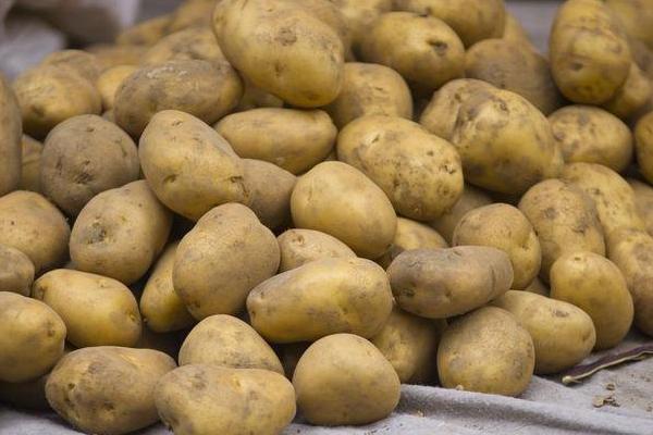 土豆圖片大全 土豆簡介