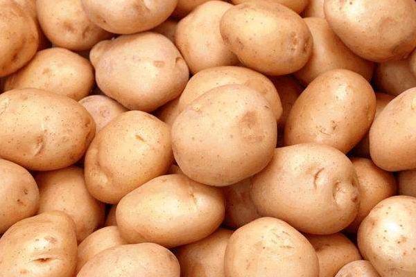 土豆圖片大全 土豆簡介