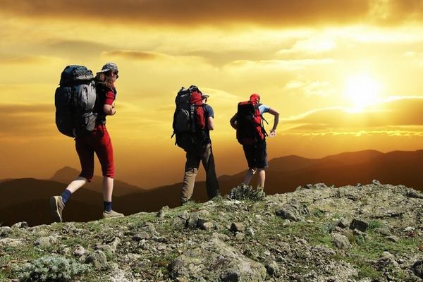 南瓜子對(duì)前列腺有好處嗎