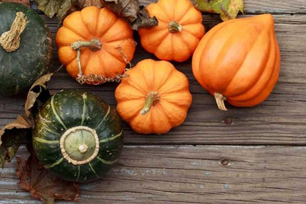 南瓜是發物嗎 南瓜吃多了會怎么樣