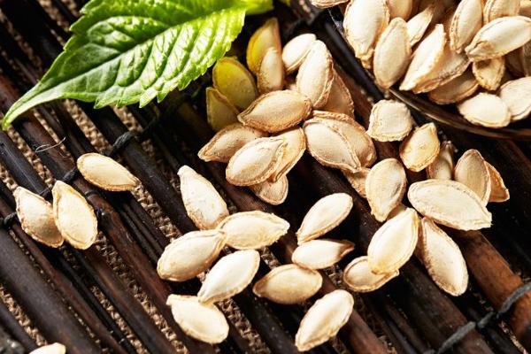 白瓜子是南瓜子嗎