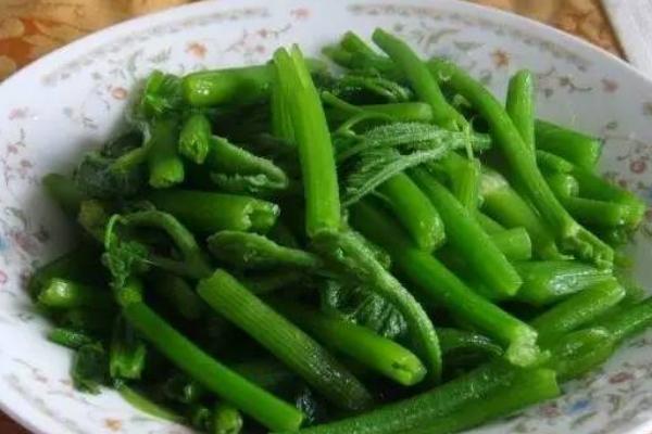 南瓜藤的功效與作用及禁忌