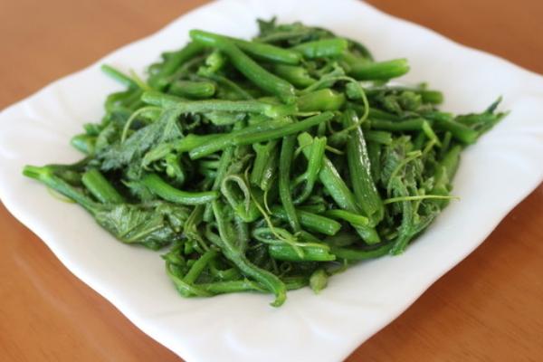 南瓜藤的功效與作用及禁忌