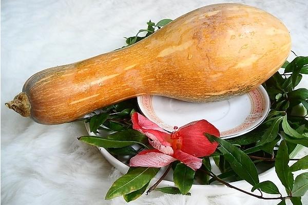 南瓜熱量是多少 吃南瓜發胖嗎