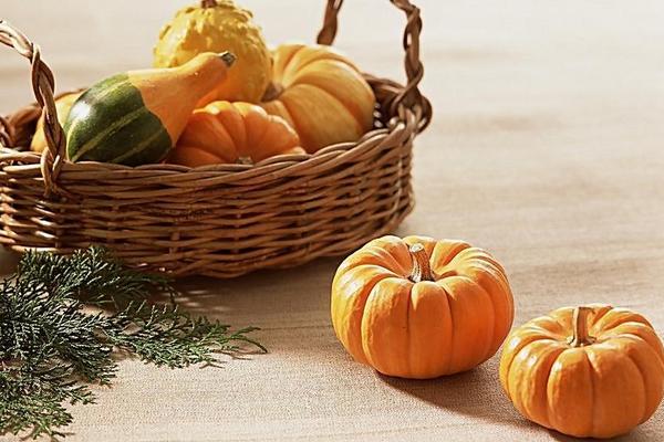 南瓜功效與作用及禁忌 南瓜的營養(yǎng)價(jià)值