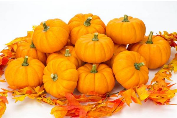 南瓜功效與作用及禁忌 南瓜的營養(yǎng)價(jià)值