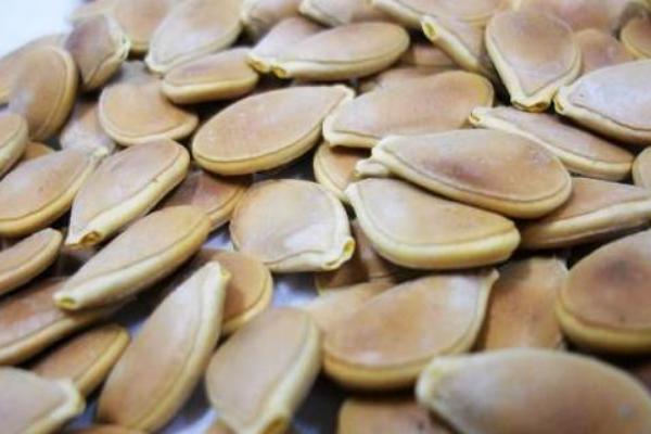 南瓜子壯陽嗎 吃南瓜子補腎嗎