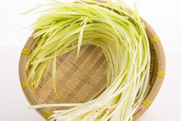 韭黃的功效與作用及禁忌